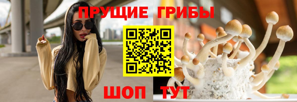 Галлюциногенные грибы мицелий  Вход с VPN  Реж 